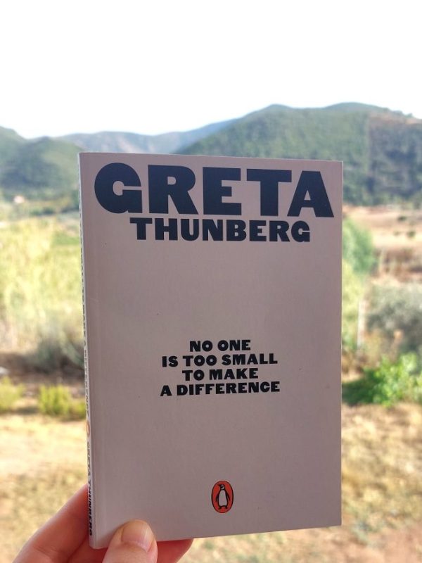 “No one is too small to make a difference” Greta Thunberg (2019) Review | And she made a&nbsp;difference