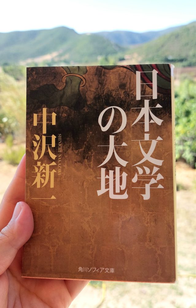「日本文学の大地」 中沢新一, 2015&nbsp;>>