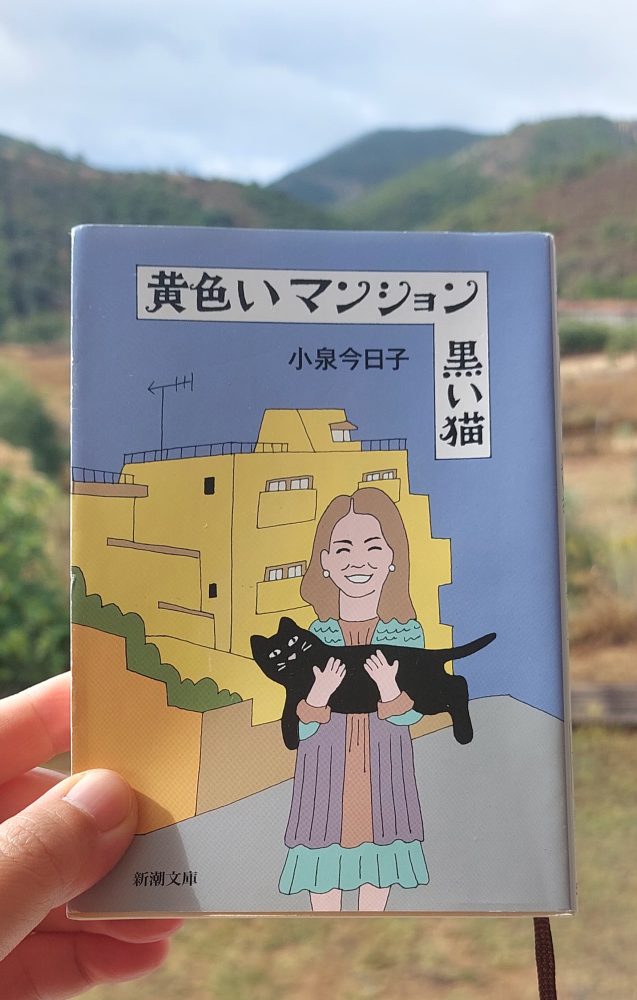 「黄色いマンション 黒い猫」 小泉今日子, 2016&nbsp;>>