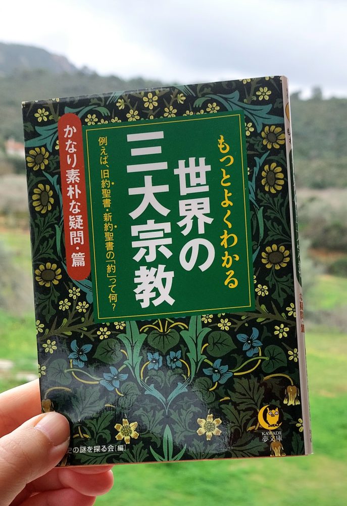 T080115［真作］中林道教「南無釈迦牟尼佛」掛軸 紙本 書 共箱 タトウ