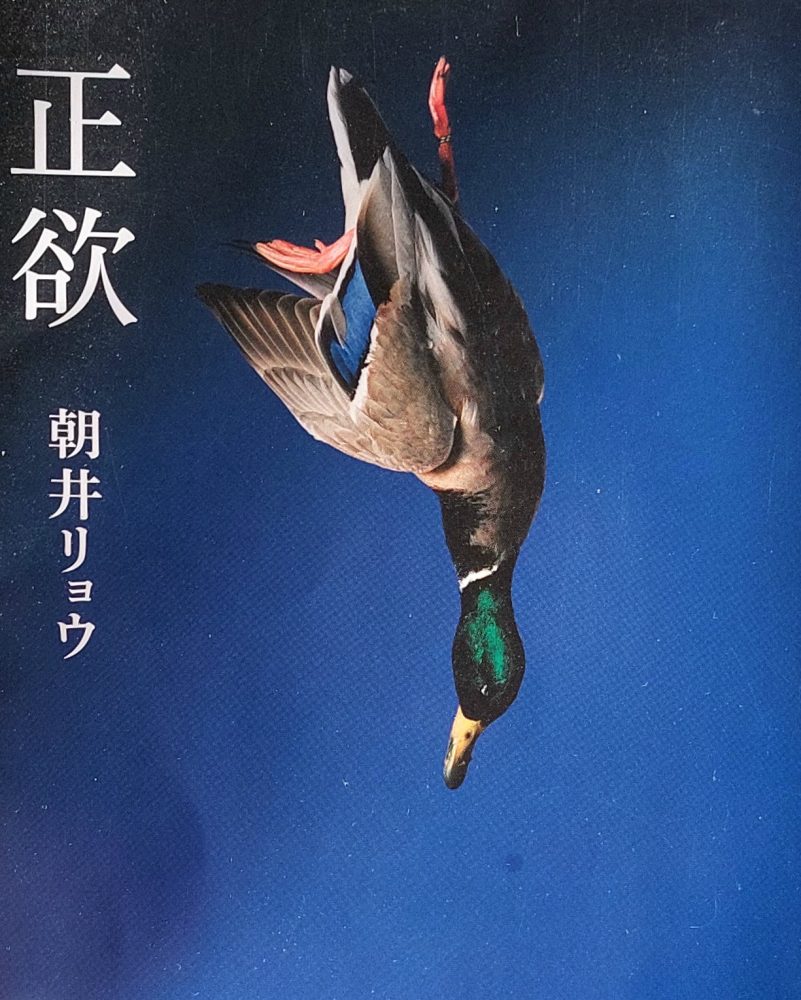 “(Ab)Normal Desire” Ryo Asai (2021) Review | You,&nbsp;too