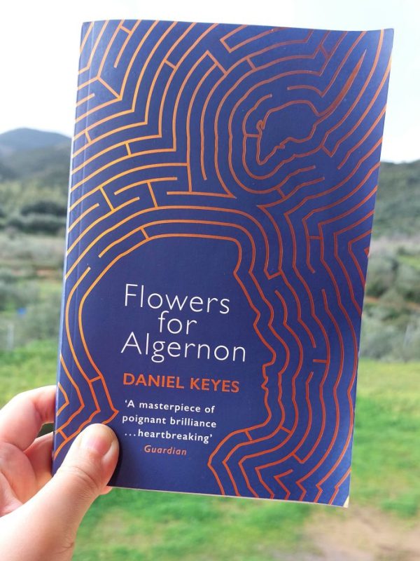 『アルジャーノンに花束を』 ダニエル・キイス, 1966年 感想 |&nbsp;救いに溢れて