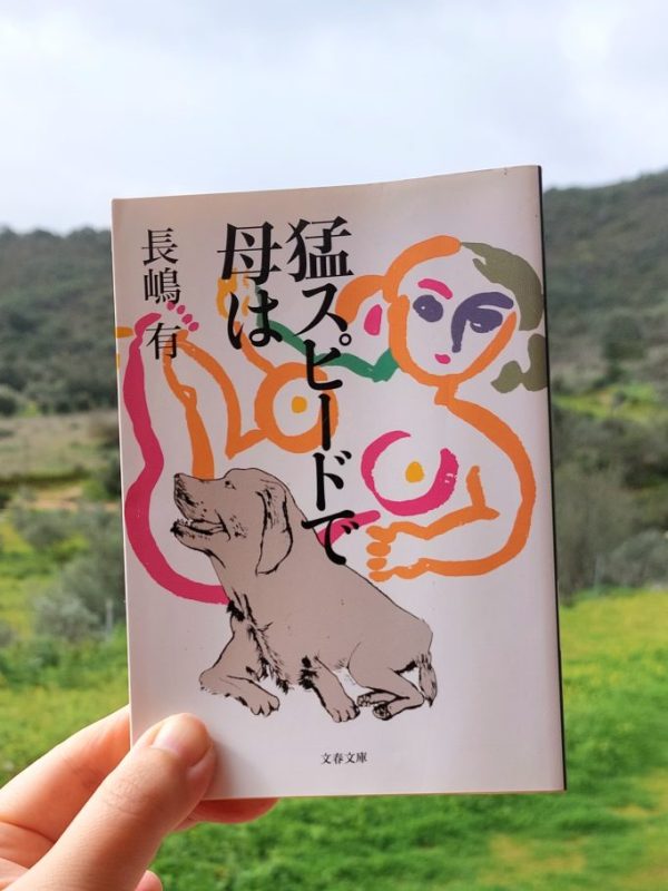 『猛スピードで母は』 長嶋有, 2005年 感想 | 強さと弱さのリアルな日常 