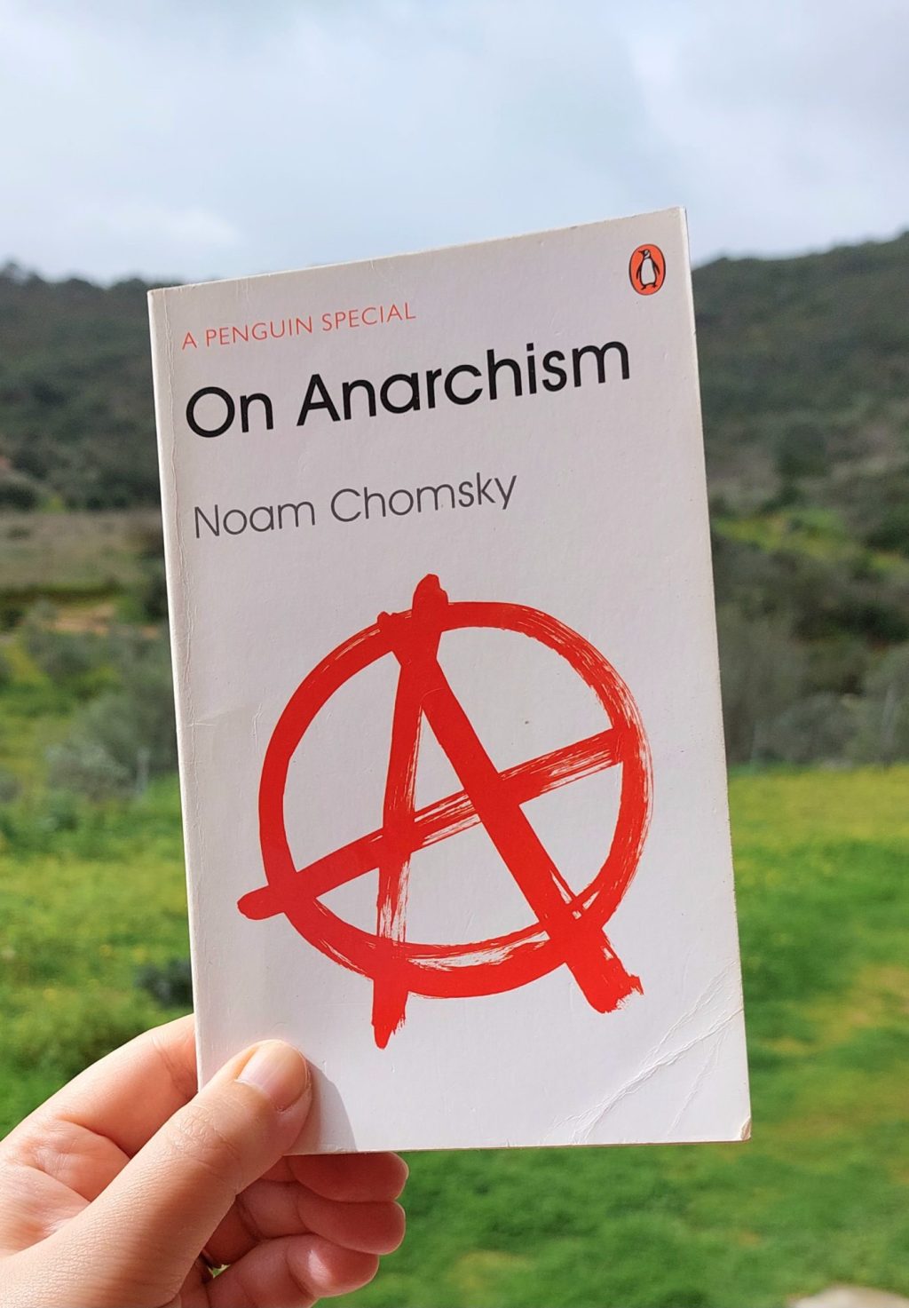 “On Anarchism” Noam Chomsky (2013) Review | Power of collective&nbsp;actions