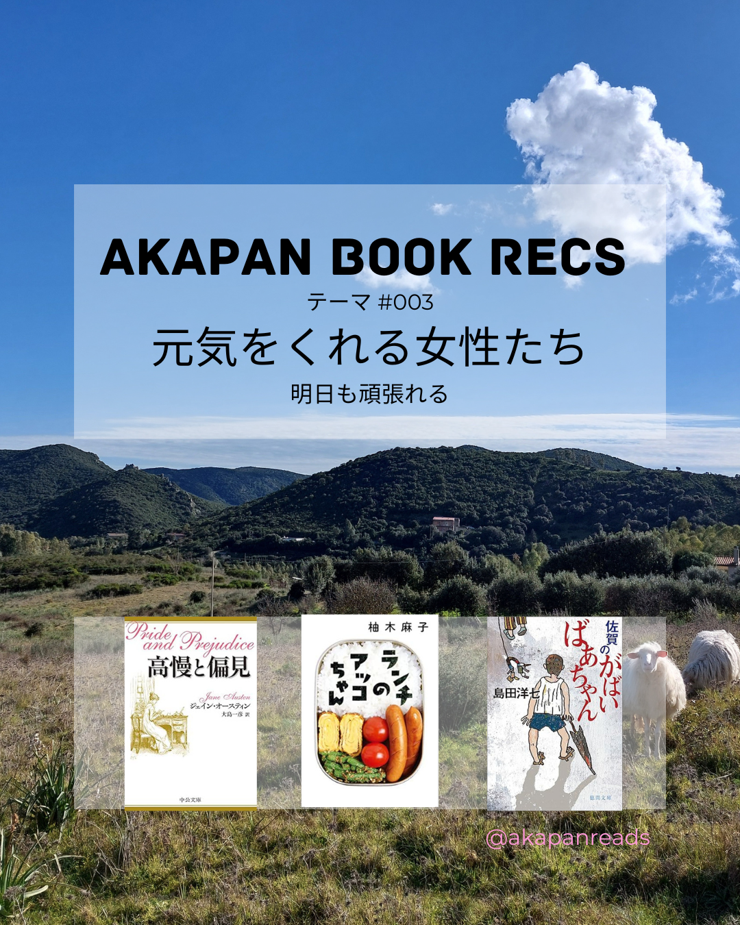 akapan book recs 003