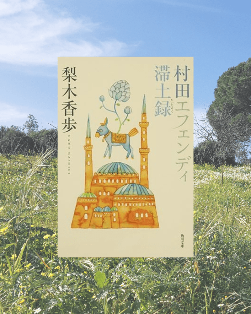 『村田エフェンディ滞土録』 梨木香歩, 2004年 レビュー | かけがえのない青春の日々 