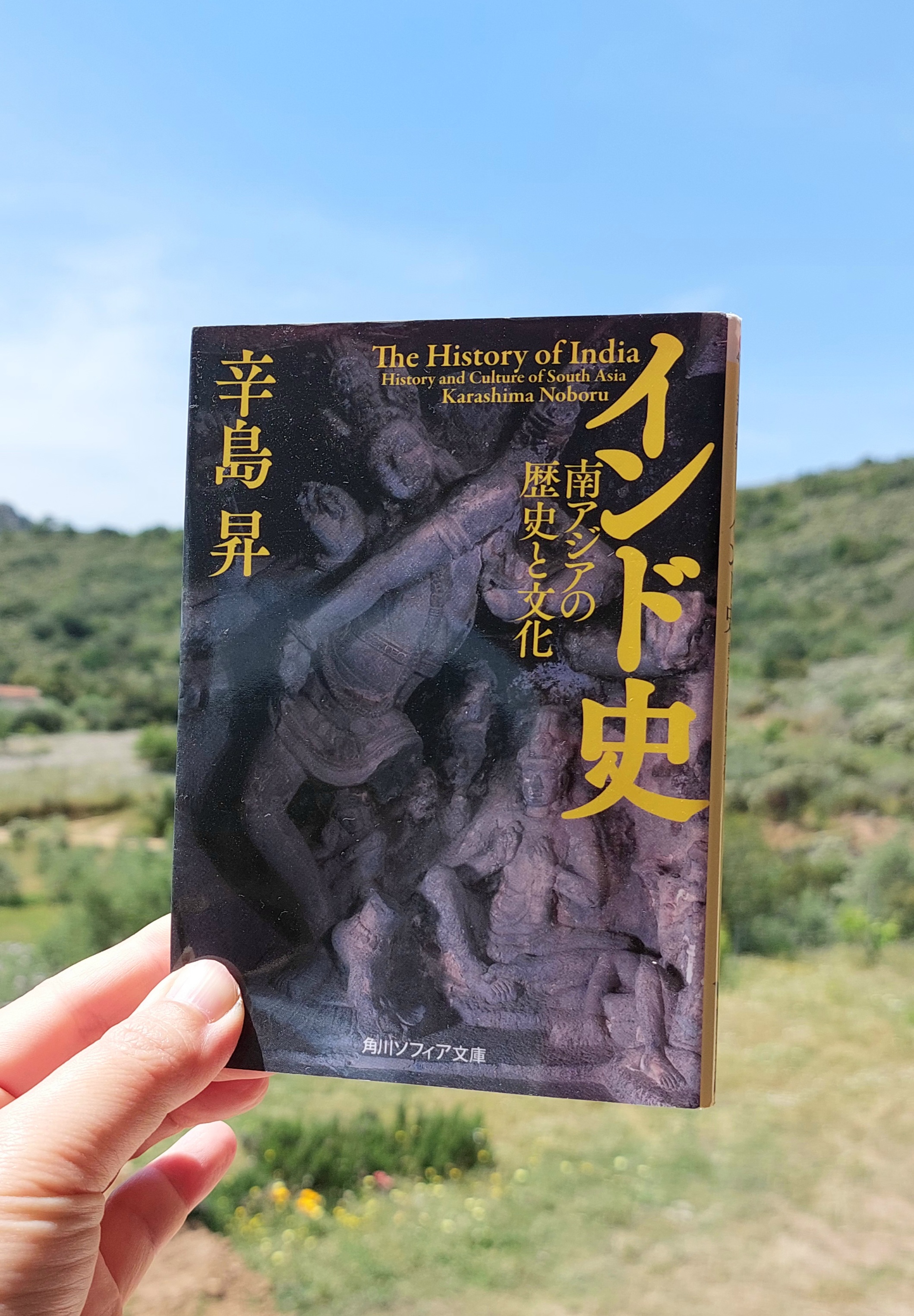 史学叢説第一集 インド史』 辛島昇, 1996年 レビュー | ここから始める壮大なインド史