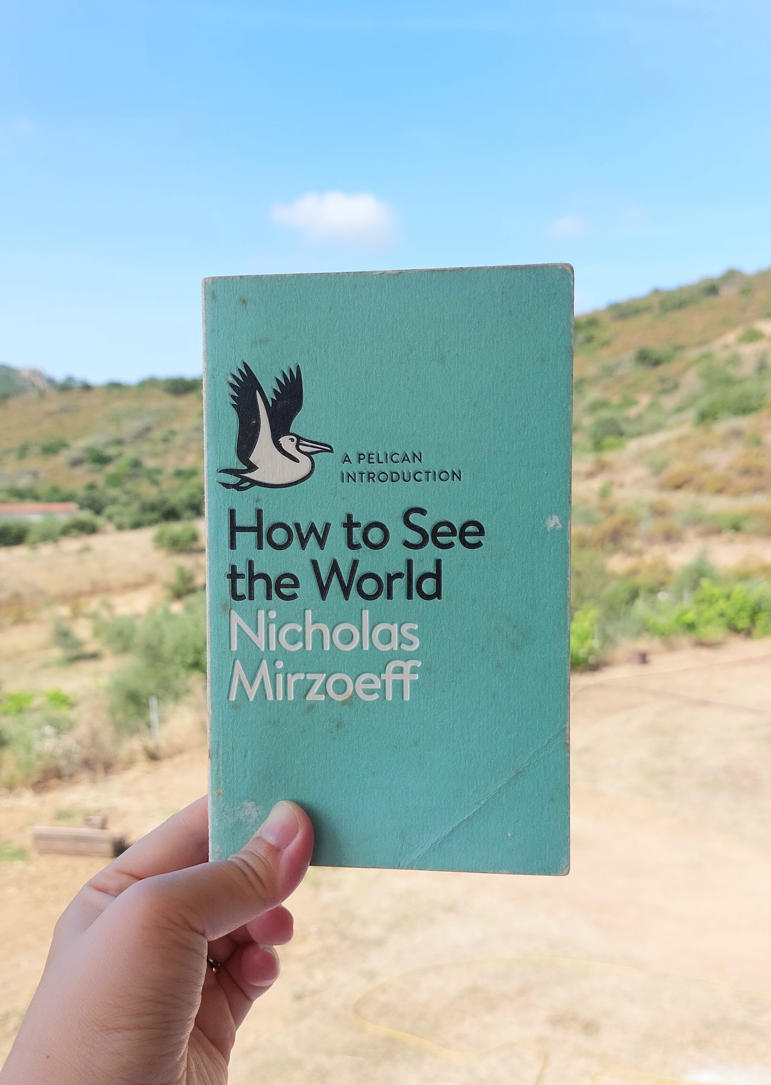 How to See the World』 Nicholas Mirzoeff, 2015年 レビュー | 猛
