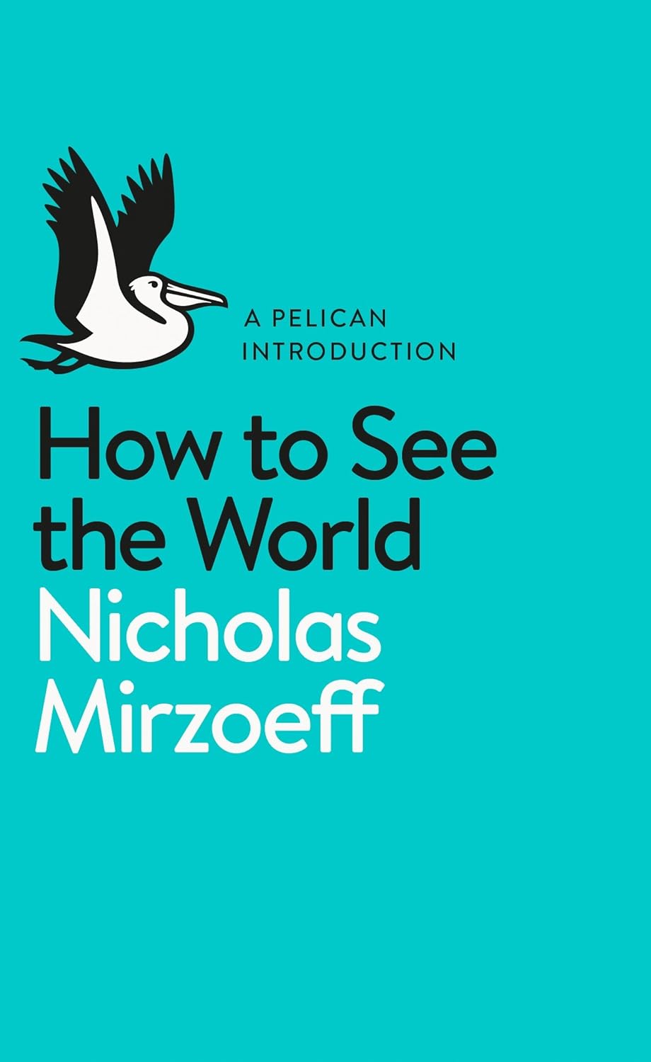 How to See the World (Pelican Books) (English Edition)