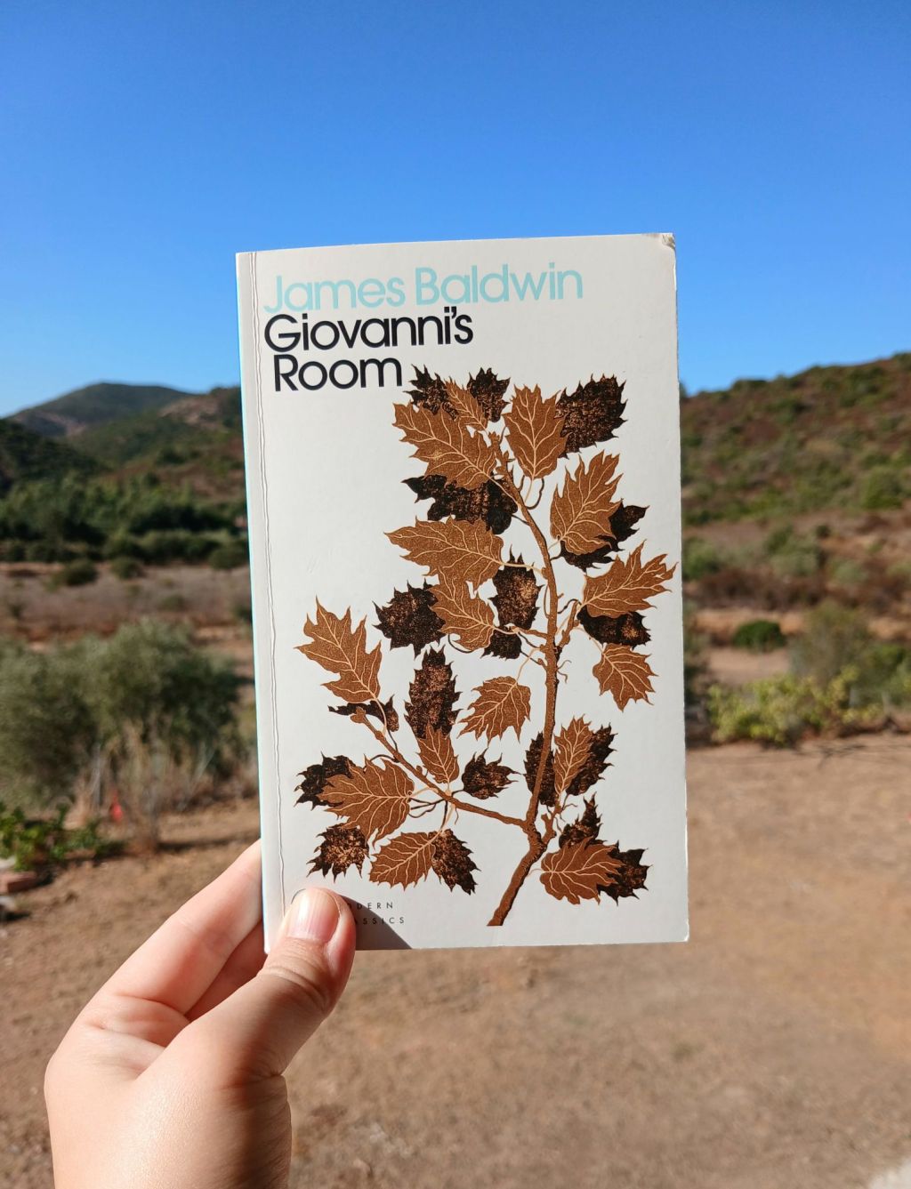 “Giovanni’s Room” James Baldwin (1956) Review | Self destructive romance in&nbsp;Paris